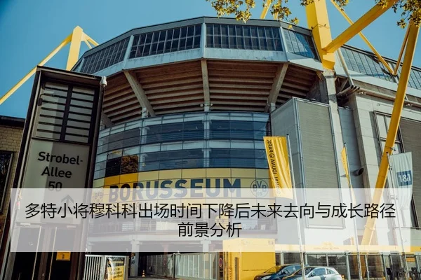 多特小将穆科科出场时间下降后未来去向与成长路径前景分析