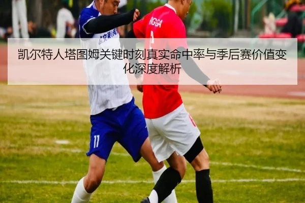 img_1781733223213_2483_1_850.jpg